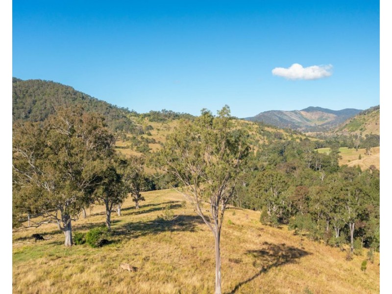 Lot 65 Jasper Creek Road, Mount Seaview NSW 2446