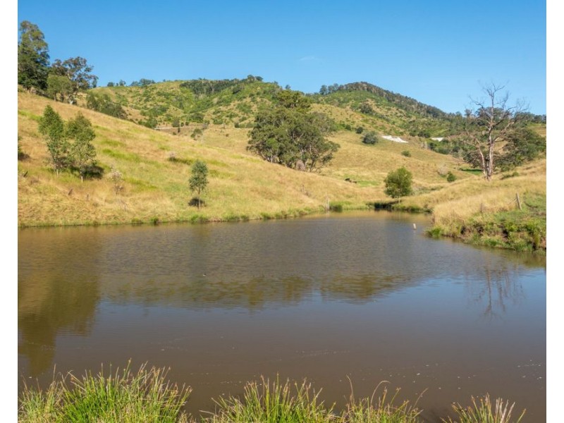 7748 Oxley Highway, Mount Seaview NSW 2446