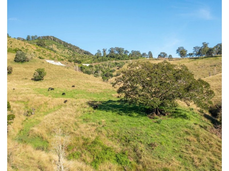 7748 Oxley Highway, Mount Seaview NSW 2446