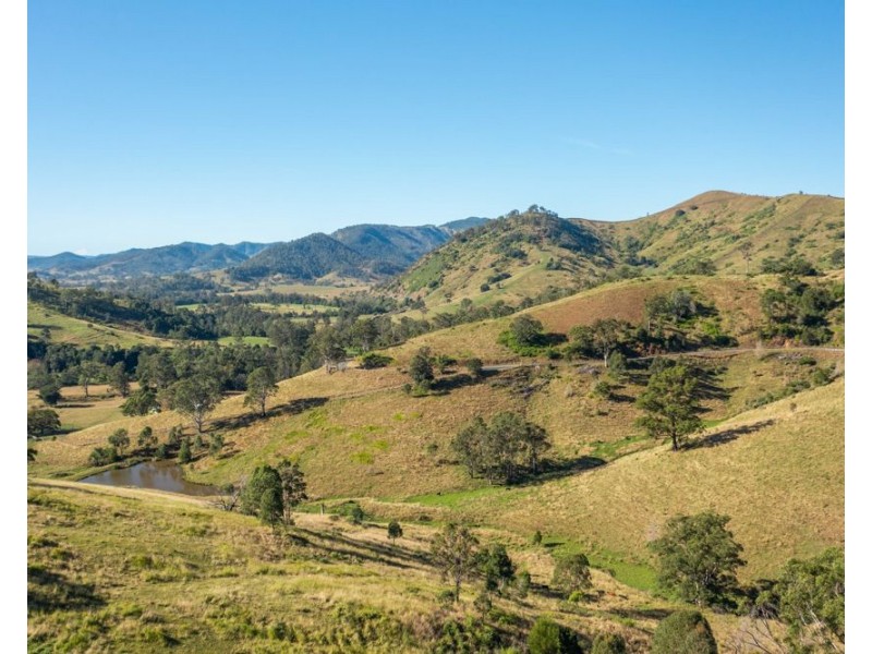 7748 Oxley Highway, Mount Seaview NSW 2446