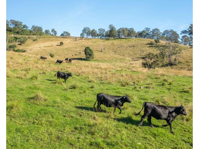 7748 Oxley Highway, Mount Seaview NSW 2446