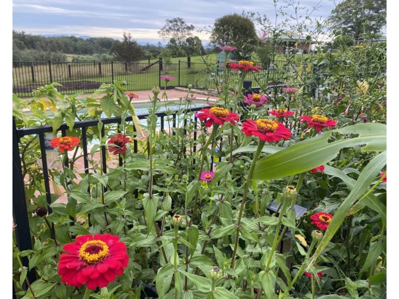 109 Lika Drive, Euroka NSW 2440