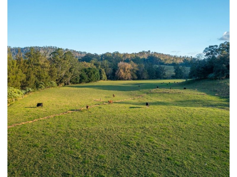 1021 South Arm Road, South Arm NSW 2449