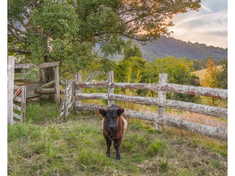 1021 South Arm Road, South Arm NSW 2449