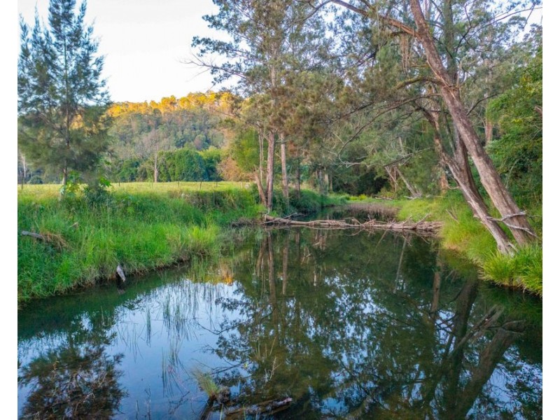 1021 South Arm Road, South Arm NSW 2449