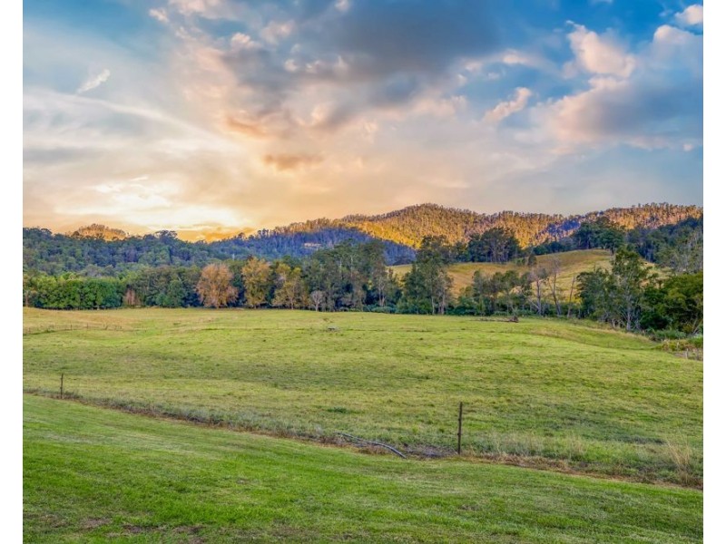 1021 South Arm Road, South Arm NSW 2449