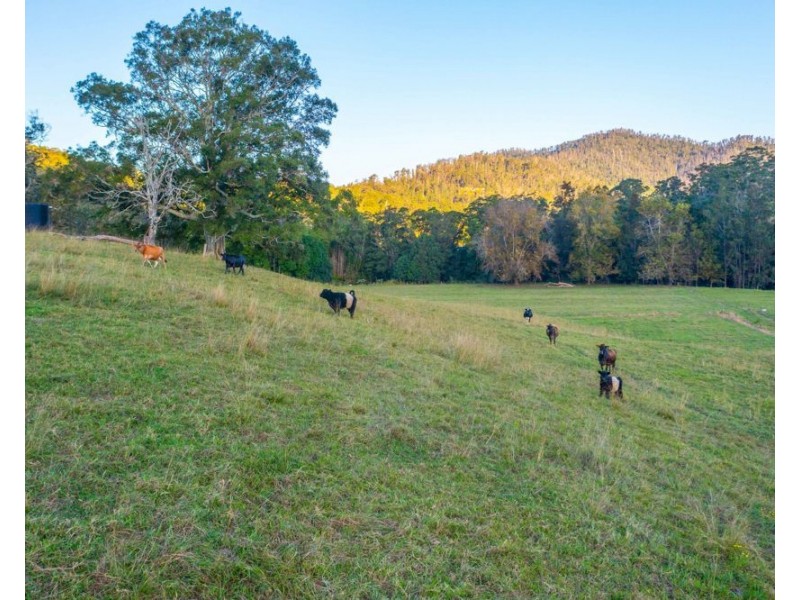 1021 South Arm Road, South Arm NSW 2449
