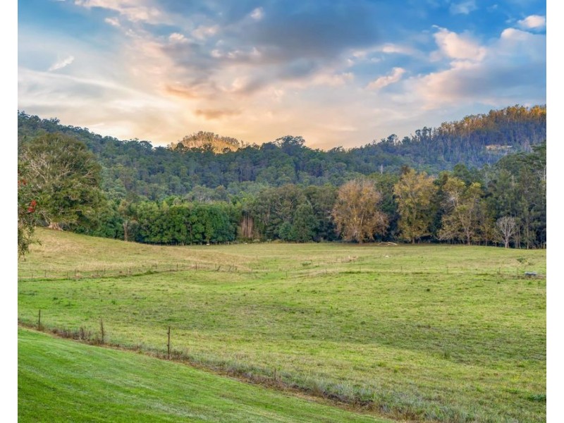 1021 South Arm Road, South Arm NSW 2449