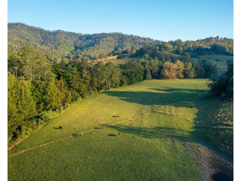 1021 South Arm Road, South Arm NSW 2449