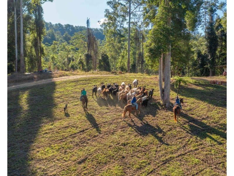 1415 KALANG ROAD, Kalang NSW 2454