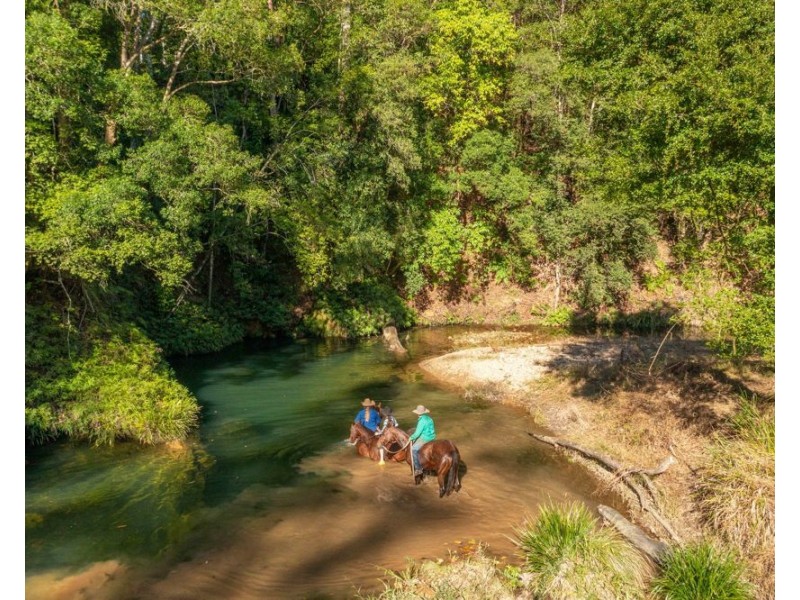 1415 KALANG ROAD, Kalang NSW 2454