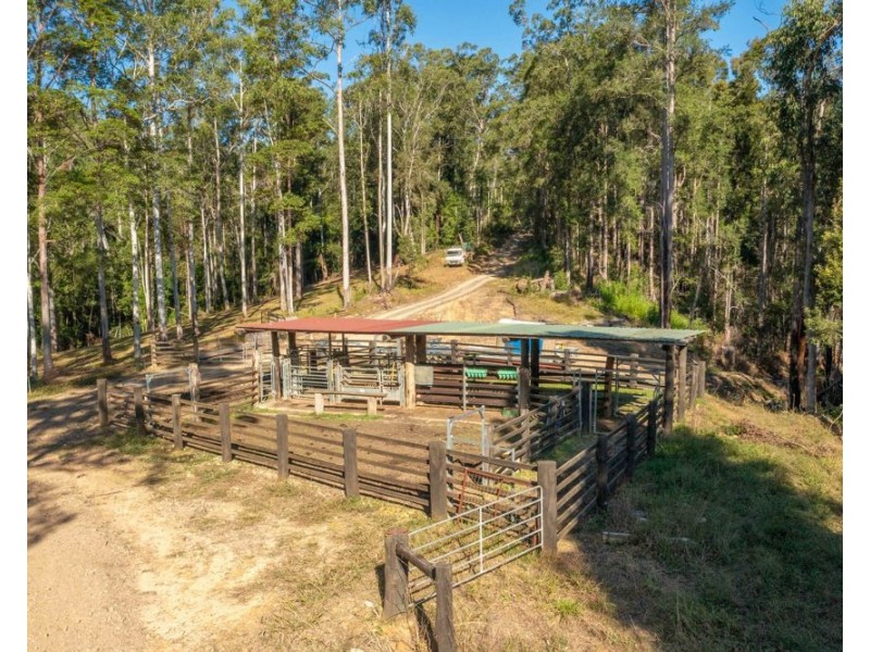 1415 KALANG ROAD, Kalang NSW 2454