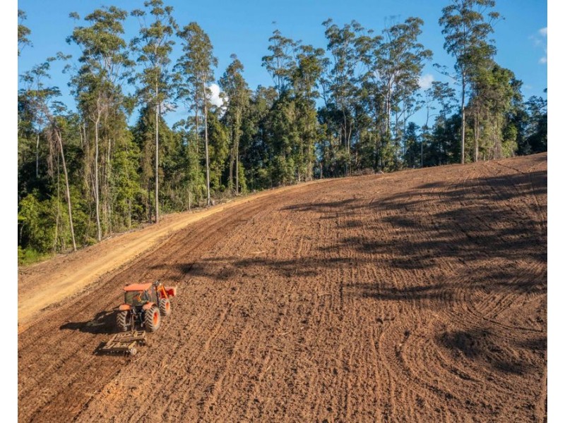 1415 KALANG ROAD, Kalang NSW 2454