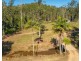 1415 KALANG ROAD, Kalang NSW 2454