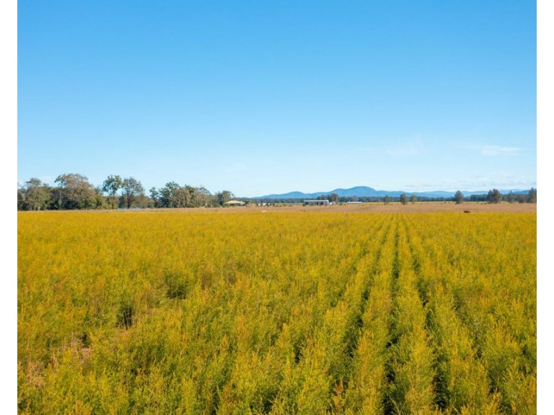 576 MARIA RIVER ROAD, Limeburners Creek NSW 2444