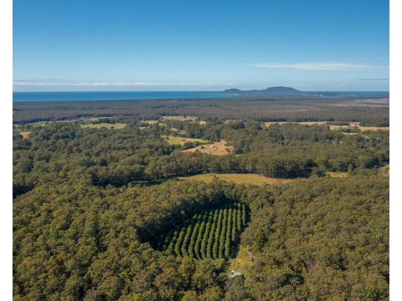 137 Browns Road, Barraganyatti NSW 2441