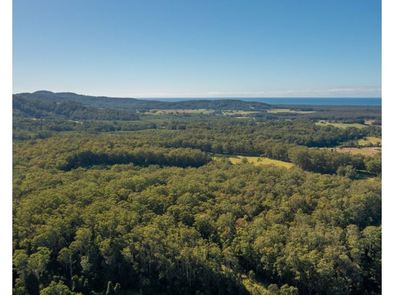 137 Browns Road, Barraganyatti NSW 2441