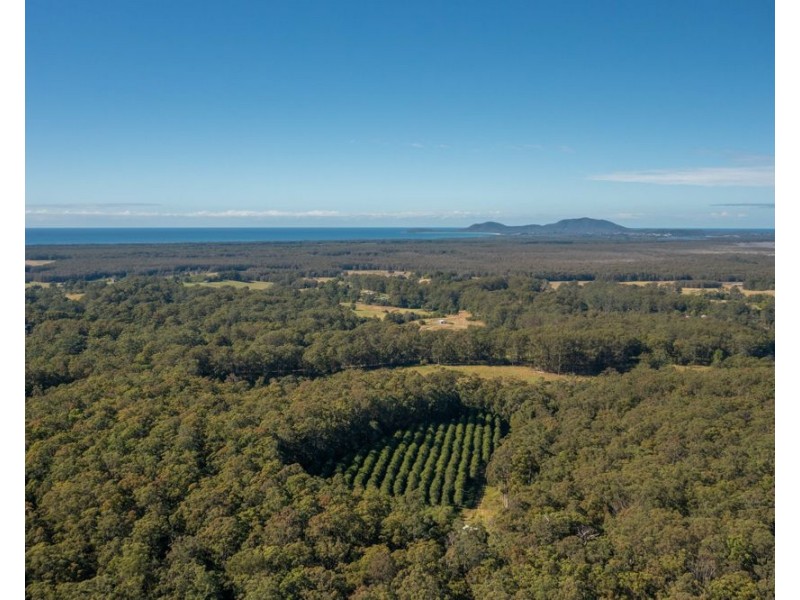 137 Browns Road, Barraganyatti NSW 2441