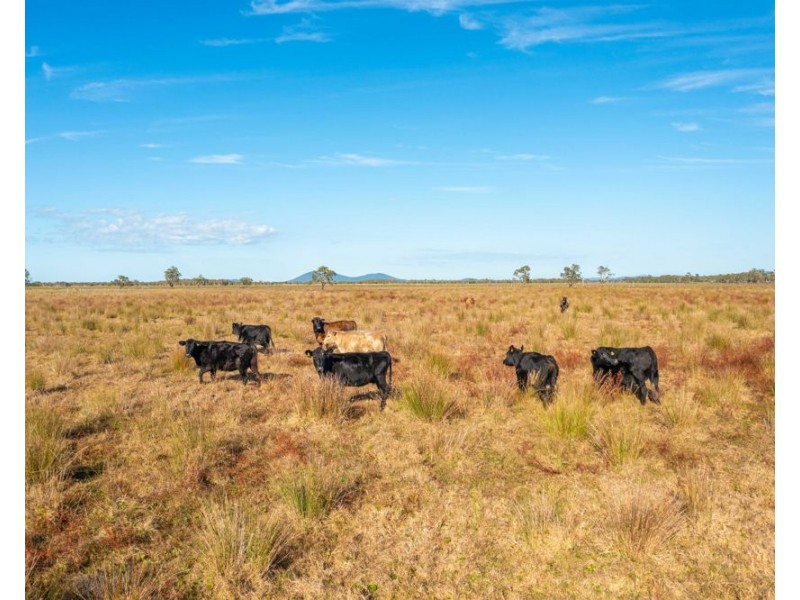 544 Kinchela Creek Left Bank Road, Kinchela NSW 2440