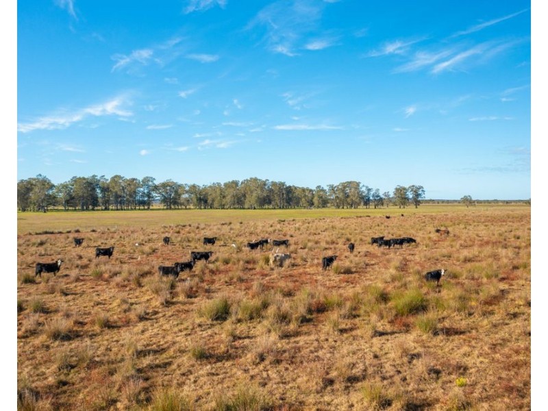 544 Kinchela Creek Left Bank Road, Kinchela NSW 2440