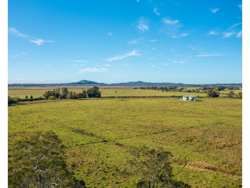 544 Kinchela Creek Left Bank Road, Kinchela NSW 2440