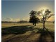 319 Plummers Lane, Clybucca NSW 2440