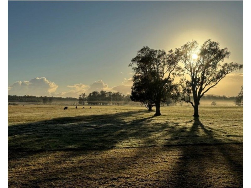 319 Plummers Lane, Clybucca NSW 2440