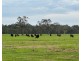 319 Plummers Lane, Clybucca NSW 2440