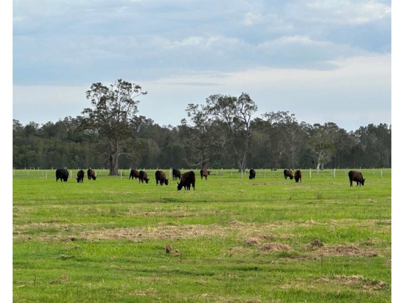 319 Plummers Lane, Clybucca NSW 2440