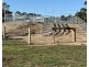 319 Plummers Lane, Clybucca NSW 2440