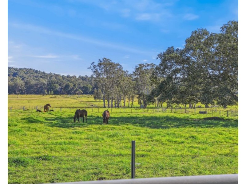 296 Dondingalong Road, Dondingalong NSW 2440