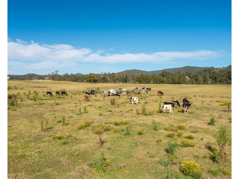 296 Dondingalong Road, Dondingalong NSW 2440