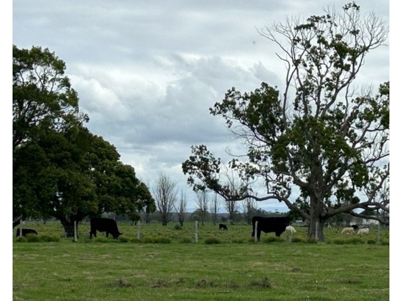 363 Austral Eden Inner Road, Austral Eden NSW 2440