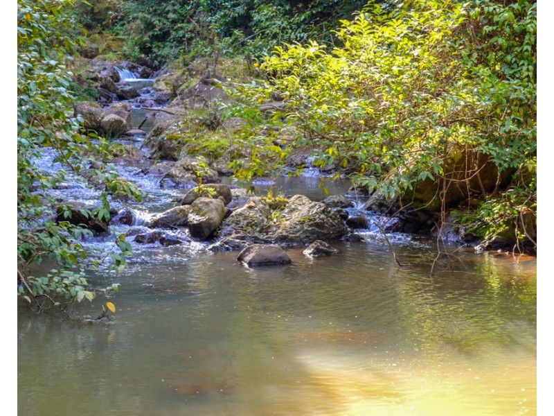 480 Ponsfords Road, Comboyne NSW 2429