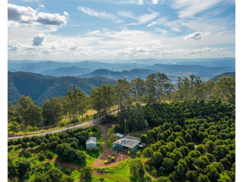 480 Ponsfords Road, Comboyne NSW 2429
