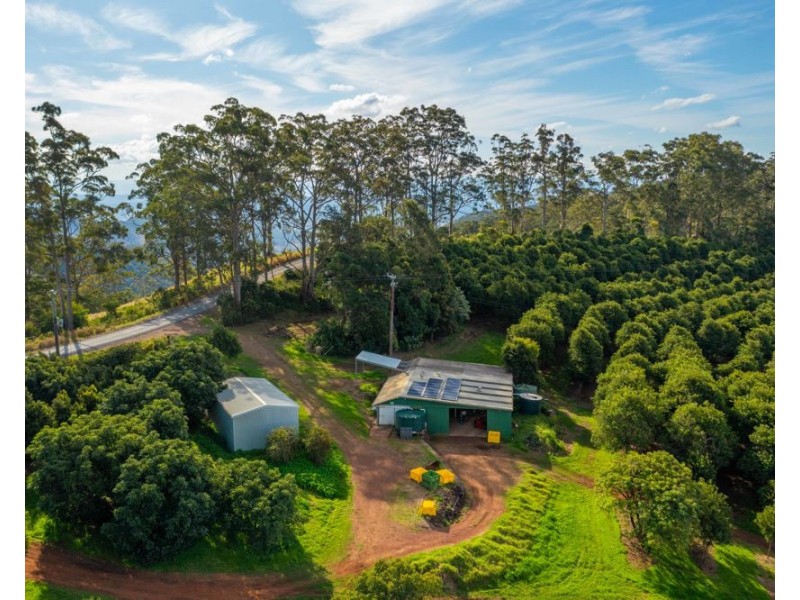 480 Ponsfords Road, Comboyne NSW 2429