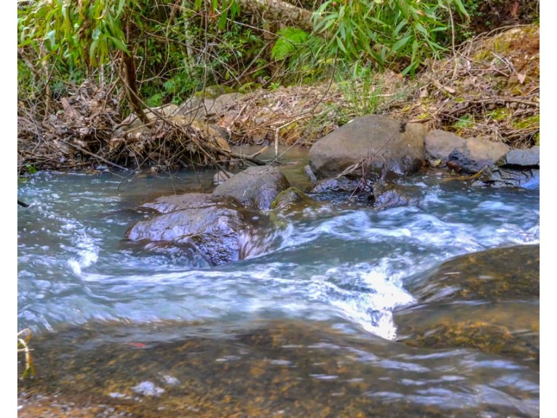 480 Ponsfords Road, Comboyne NSW 2429