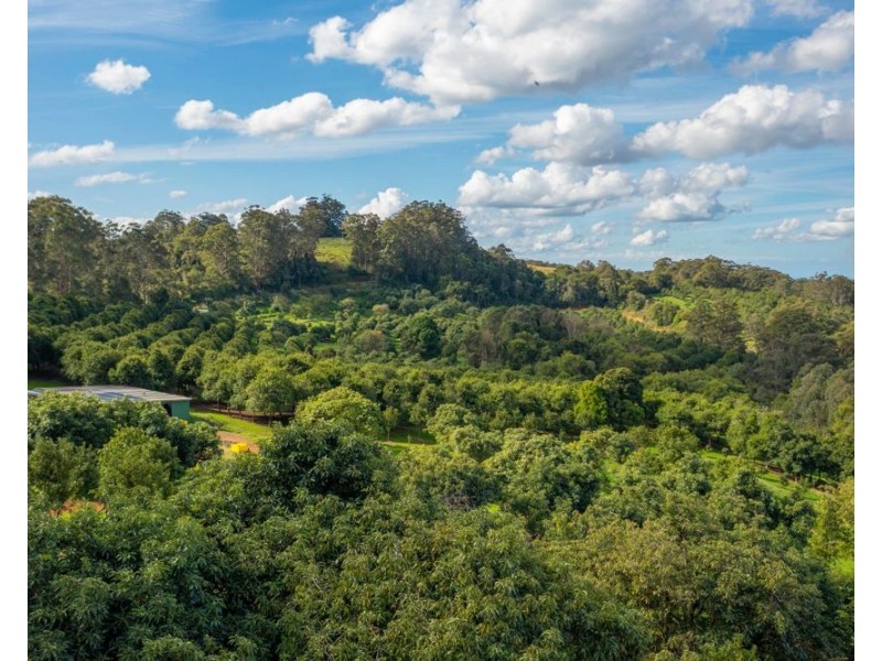 480 Ponsfords Road, Comboyne NSW 2429