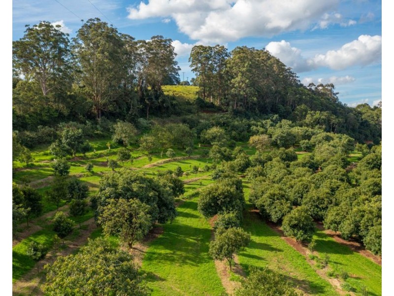 480 Ponsfords Road, Comboyne NSW 2429