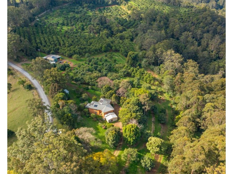 480 Ponsfords Road, Comboyne NSW 2429