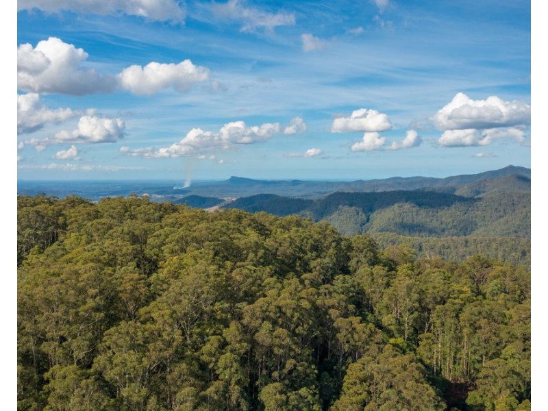 480 Ponsfords Road, Comboyne NSW 2429