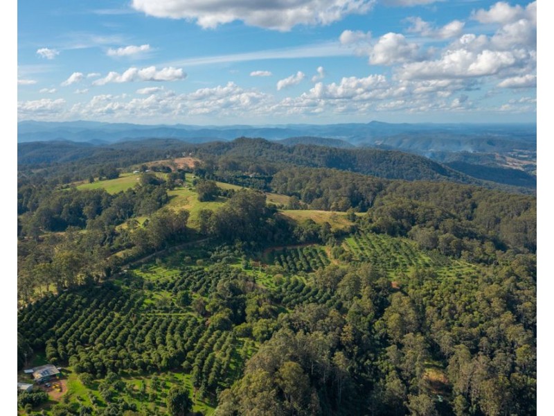 480 Ponsfords Road, Comboyne NSW 2429