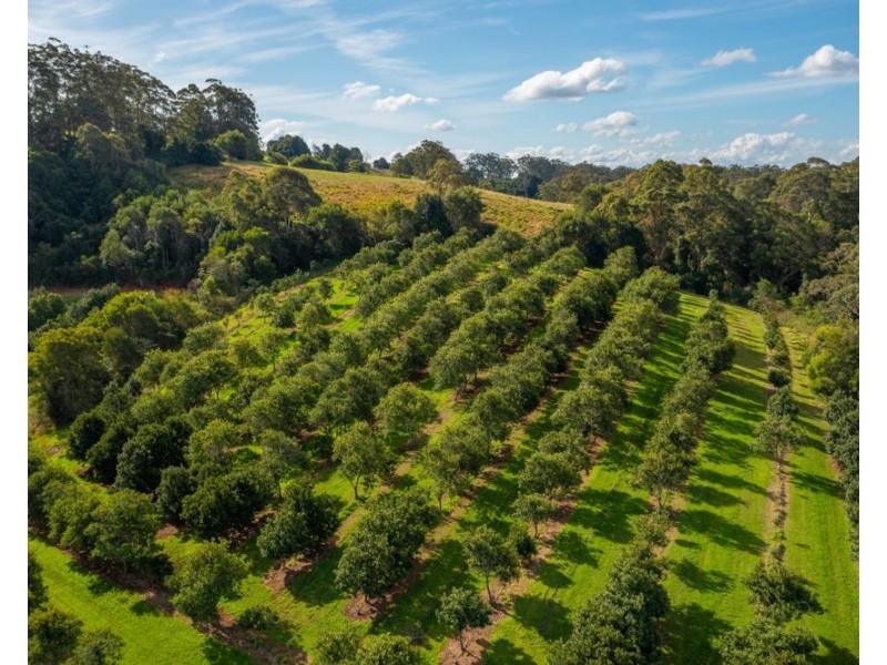 480 Ponsfords Road, Comboyne NSW 2429