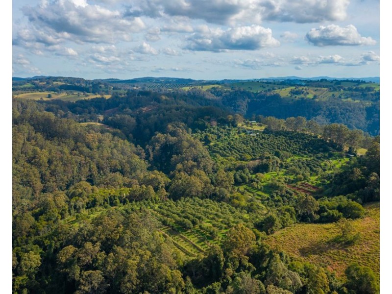 480 Ponsfords Road, Comboyne NSW 2429