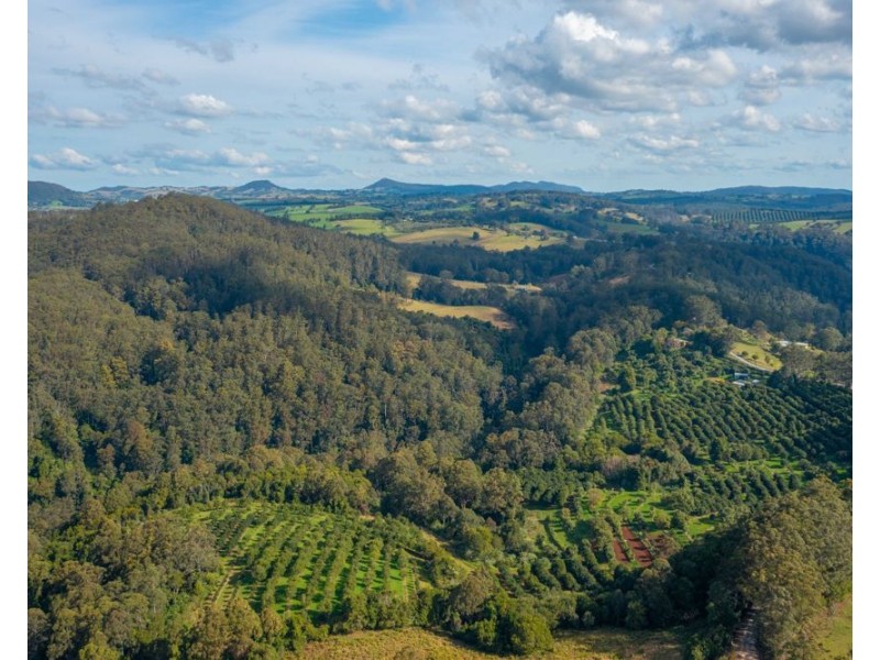 480 Ponsfords Road, Comboyne NSW 2429