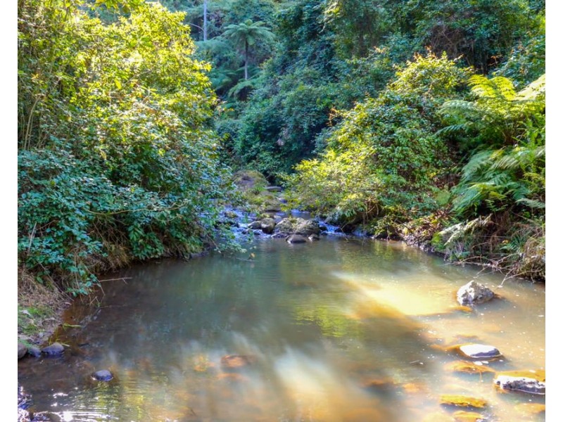 480 Ponsfords Road, Comboyne NSW 2429