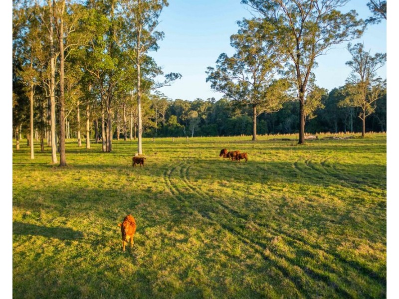 27 Seams Road, Kundabung NSW 2441