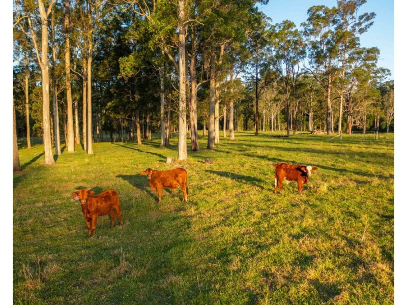 27 Seams Road, Kundabung NSW 2441