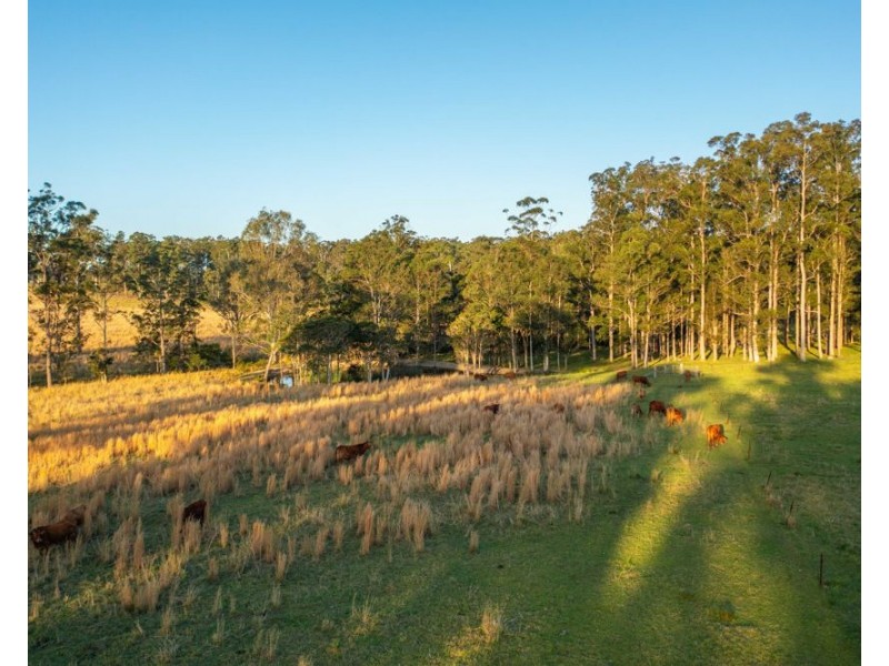 27 Seams Road, Kundabung NSW 2441