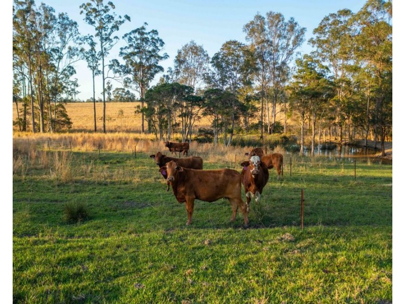 27 Seams Road, Kundabung NSW 2441